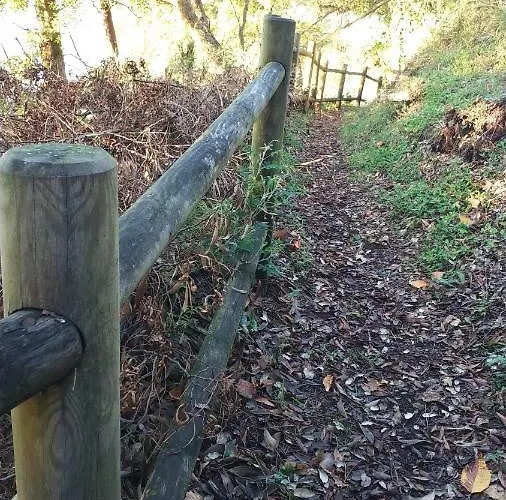 A Xanela Indiscreta * 雷东德拉